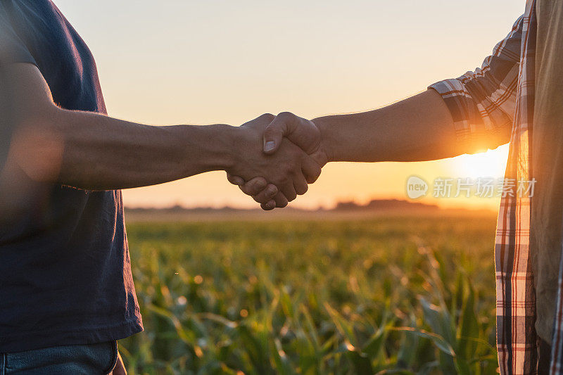 男农民和农学家在玉米地握手