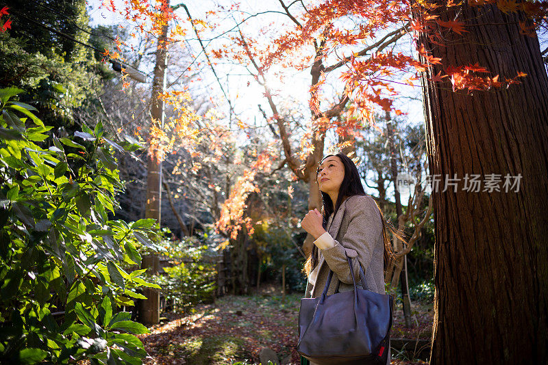日本妇女在枫叶下看风景