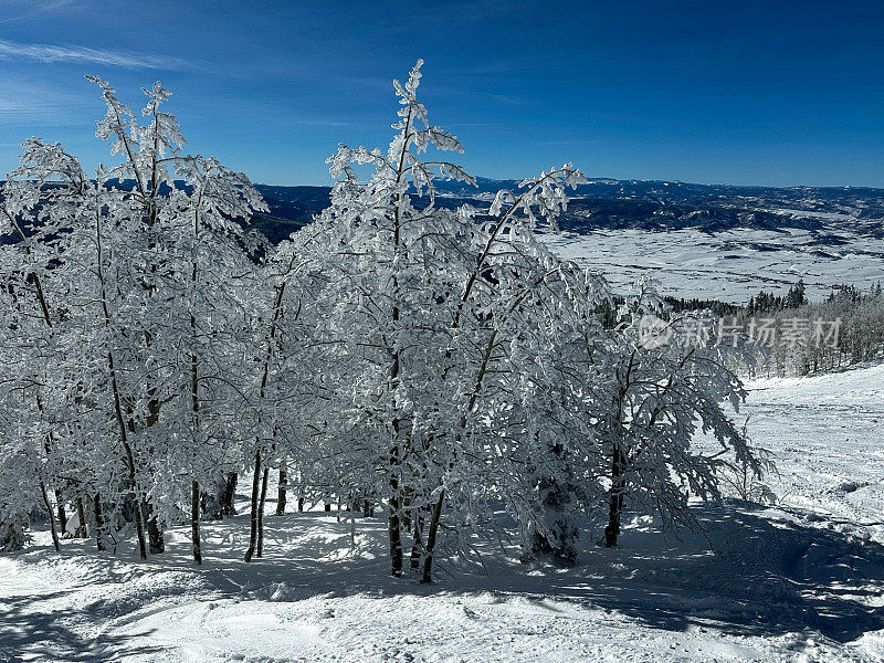 山上的雪