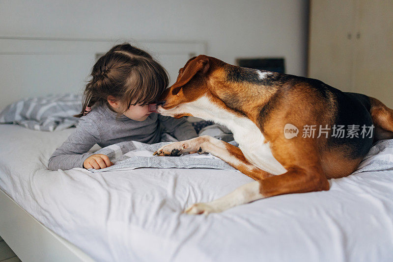 一个小女孩躺在她的三色狗旁边，他亲吻她，舔她的脸