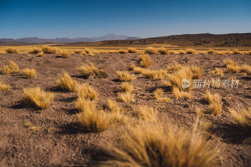 阿塔卡马沙漠中的高原