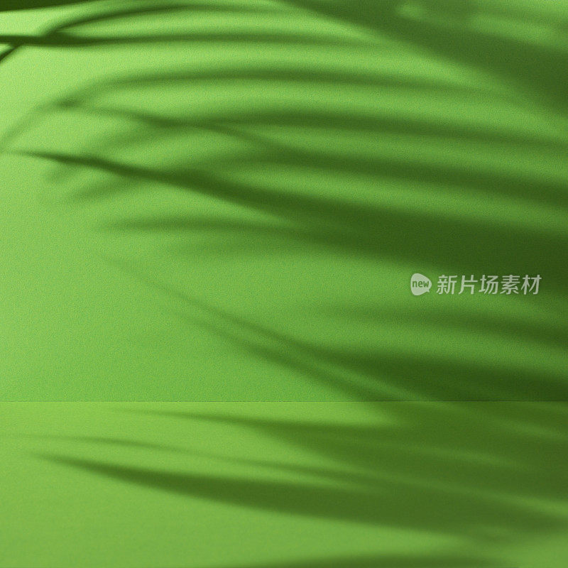 叶绿色抽象背景与棕榈叶阴影