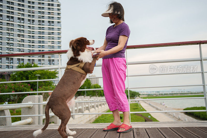 女人和宠物狗的欢乐时光