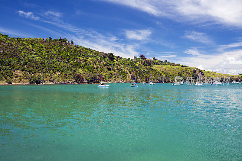 Waiheke岛海岸线，奥克兰，新西兰