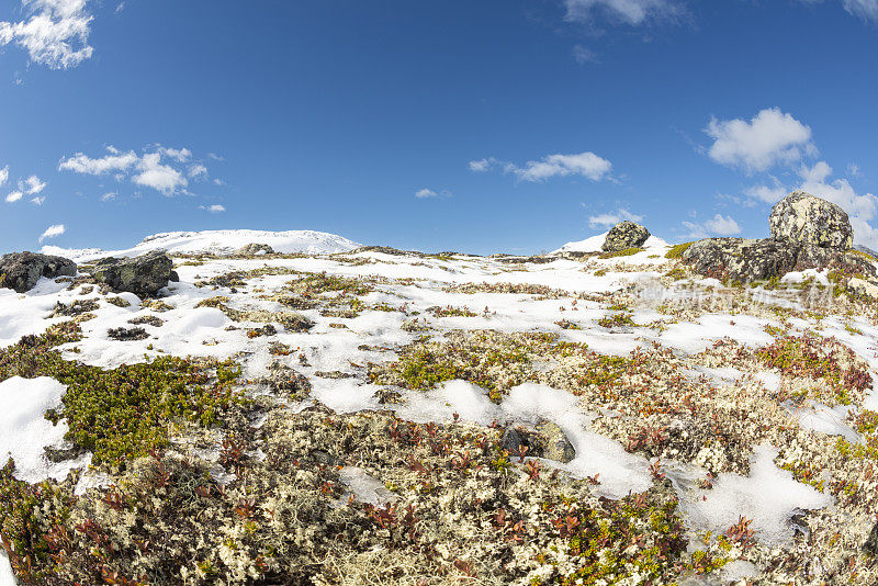 秋天的第一场雪给高山染上了色彩