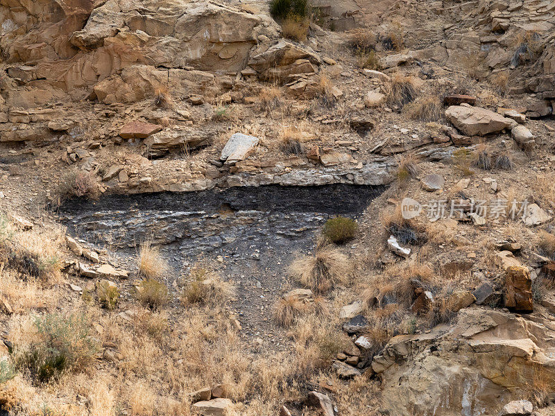 被侵蚀的沙漠山坡上可见的煤层。