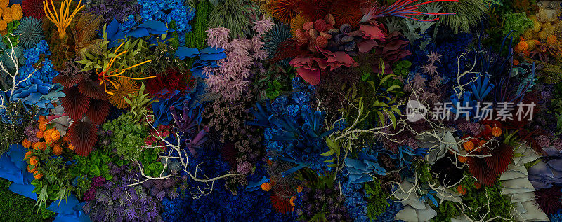 五颜六色的珊瑚礁。活珊瑚背景由玫瑰和许多花