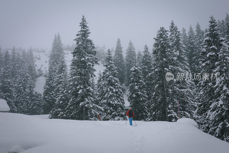 冬季森林里的雪地鞋