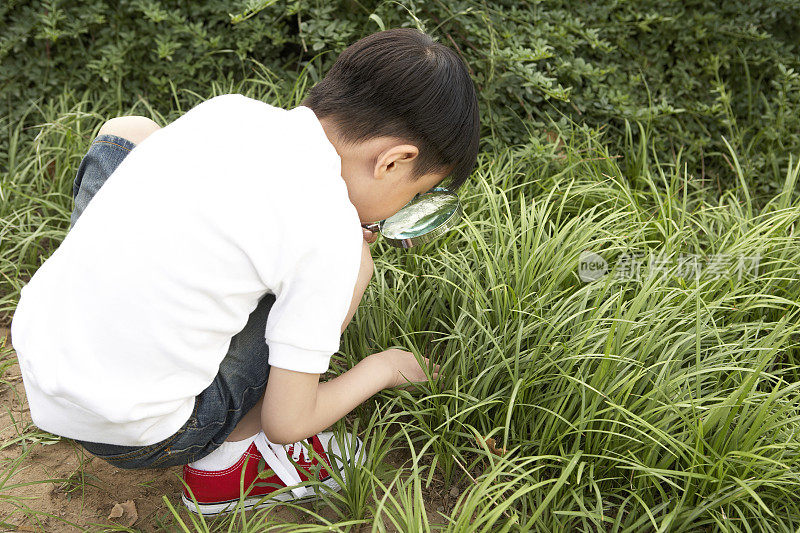 小男孩拿放大镜观察植物