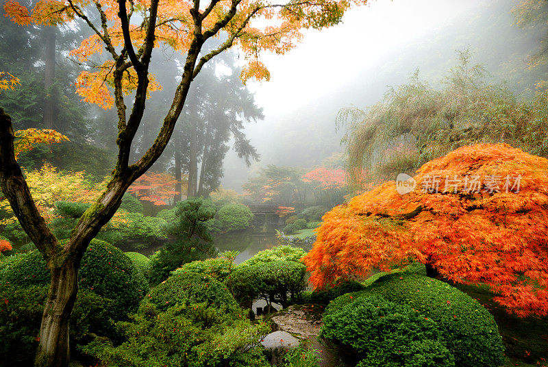 雾中的日本花园