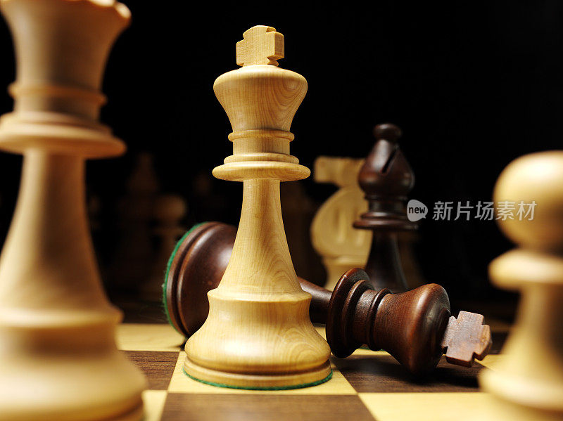 两个国际象棋王