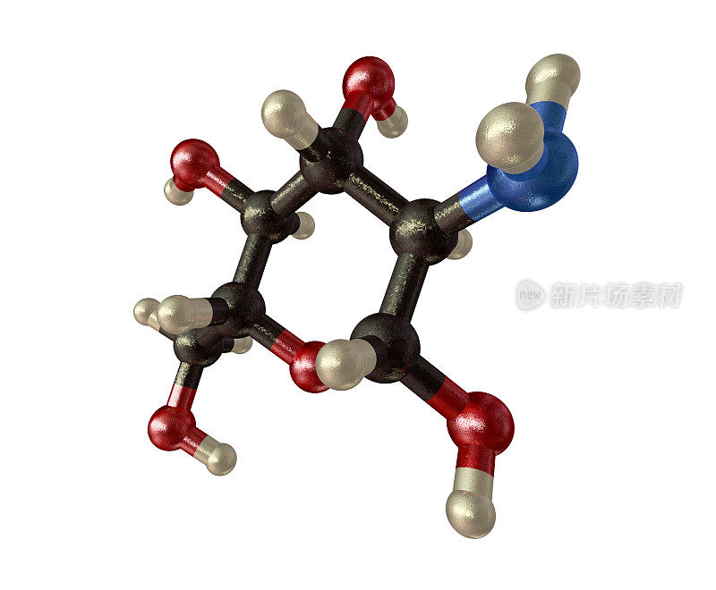 葡萄糖胺模型