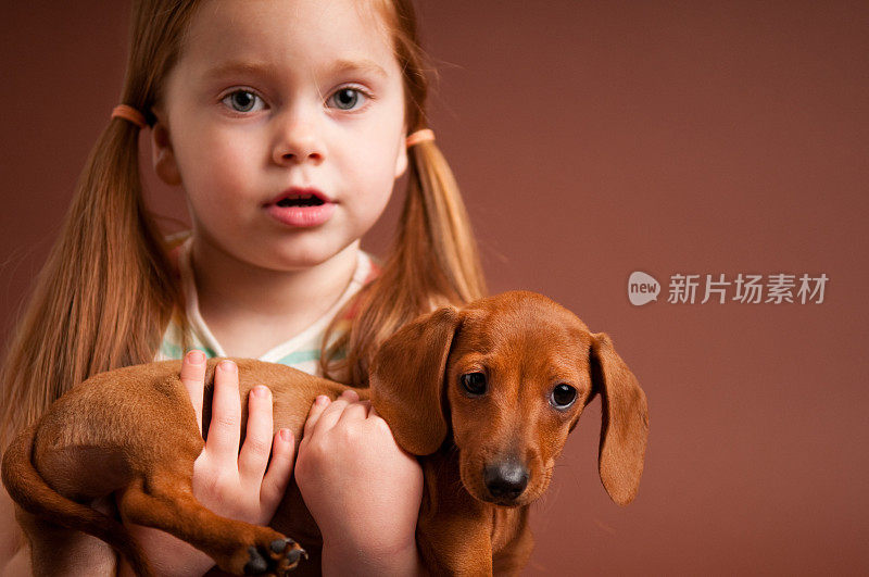 小女孩抱着纯种迷你腊肠犬