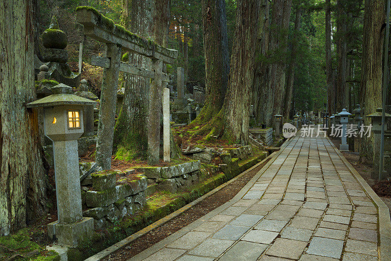 穿过日本和歌山县高山奥野墓地的小路