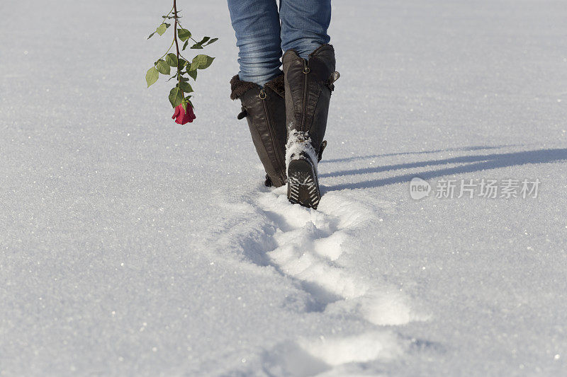 女人捧着红玫瑰走开，在雪地上留下脚印