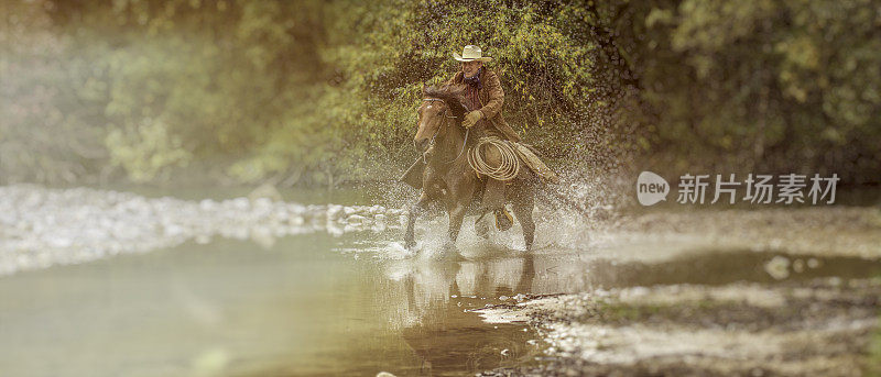 牛仔骑着马穿过森林中的小溪