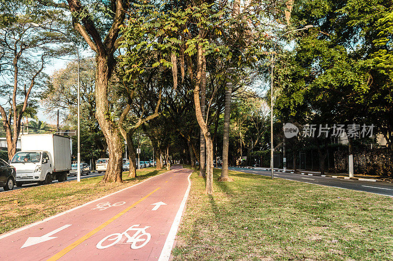 巴西圣保罗街道上的自行车道