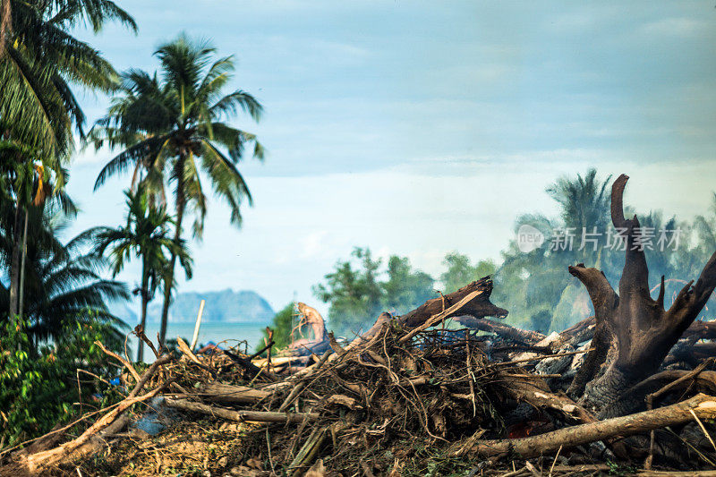 泰国甲米科兰塔森林砍伐、破坏和用火清理土地。