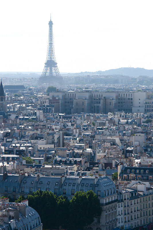 从巴黎圣母院俯瞰埃菲尔铁塔