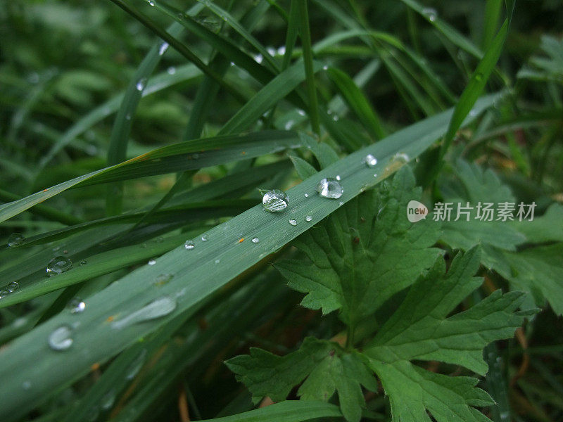 雨滴