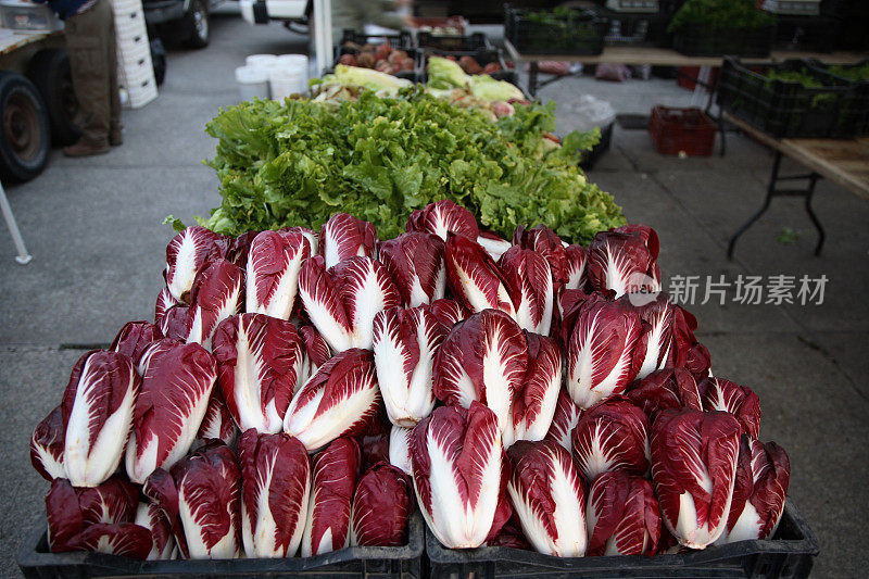 农贸市场:菊苣