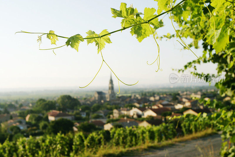 小道消息和村