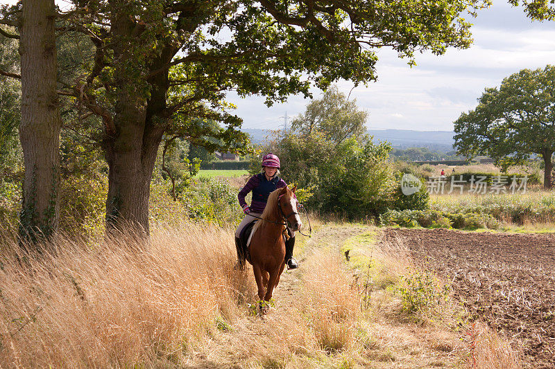 女孩和小马享受英国乡村的funride。