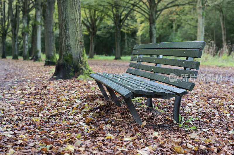 秋天的公园长椅上