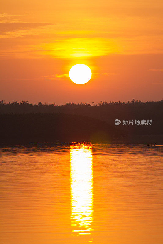 阳光灿烂的日子