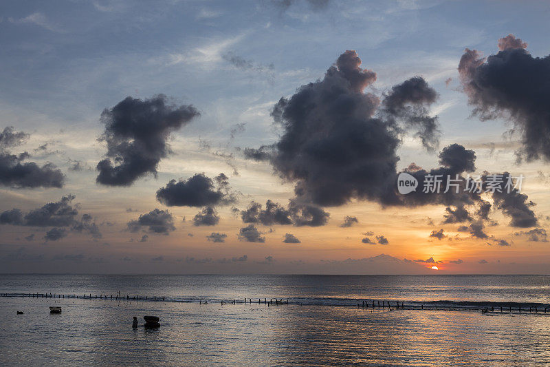 巴厘岛努沙佩尼达的海藻农民