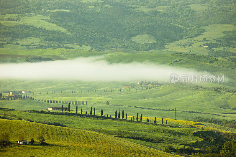 托斯卡纳风景与柏树和晨雾，托斯卡纳，意大利