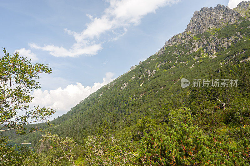 塔特拉峰会