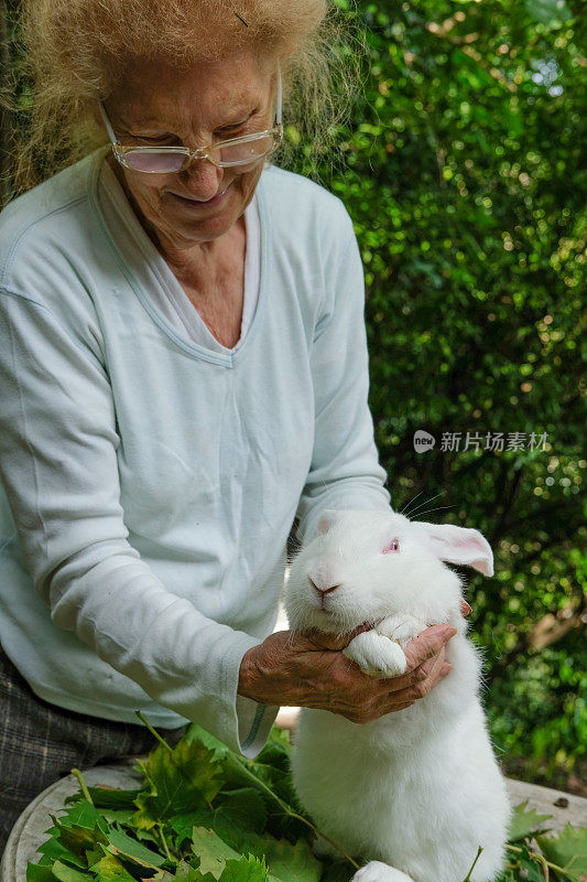 老年妇女爱抚着一只白兔