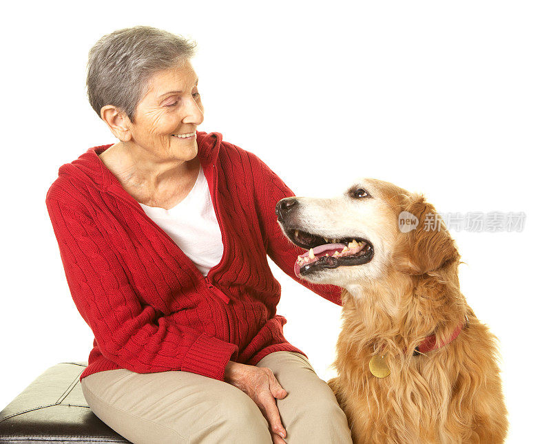 年长妇女对她的金毛猎犬在白色上微笑