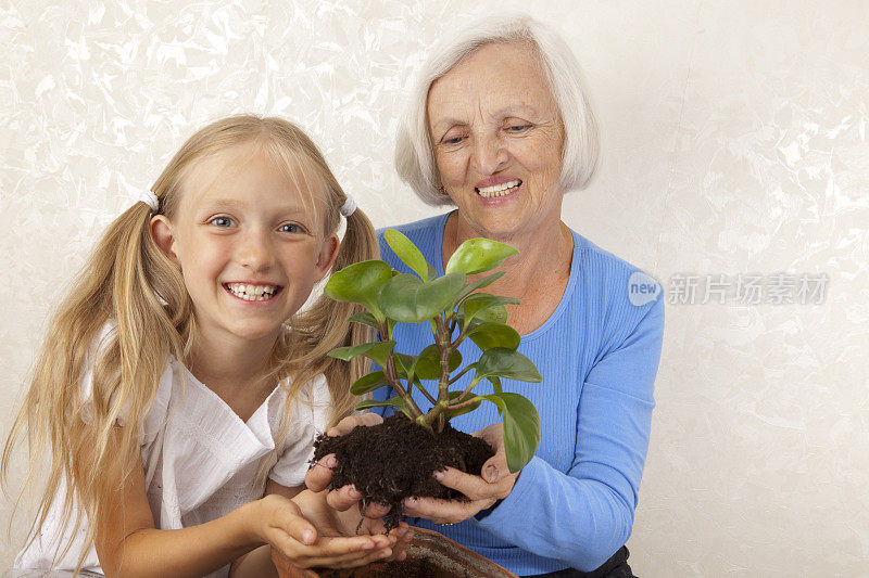 快乐的奶奶和孙女在花盆里种花。