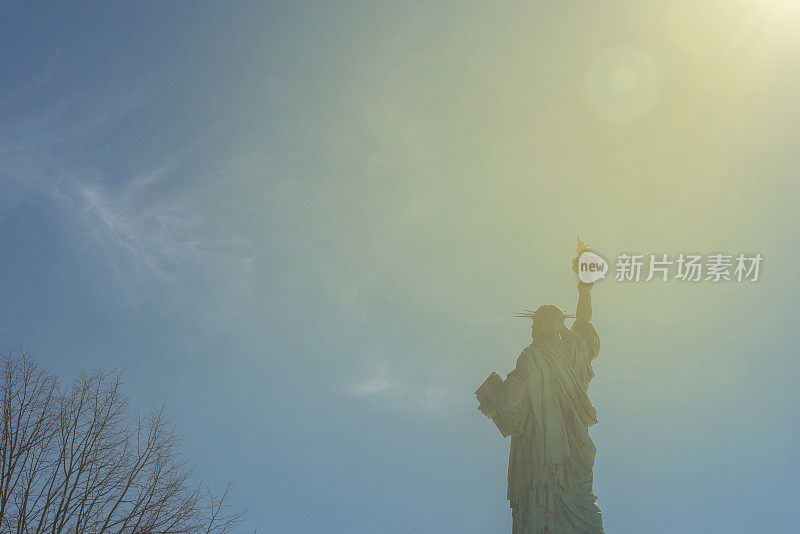 阳光下的纽约自由岛的自由女神像的后视图
