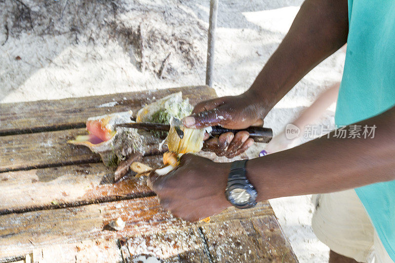 在巴哈马埃克苏马准备海螺壳(软体动物)的黑人