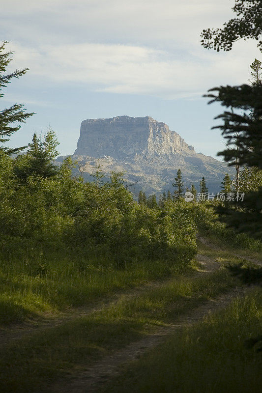 首席山