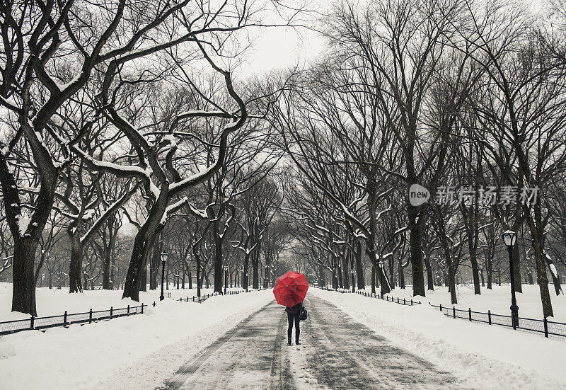 一名女子在纽约中央公园的雪地里行走