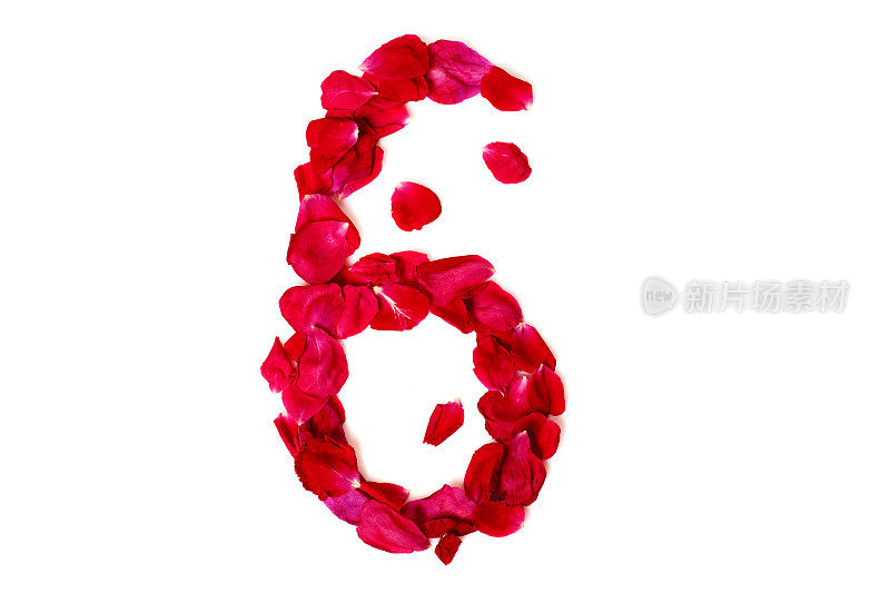 6号是用红色花瓣做成的玫瑰