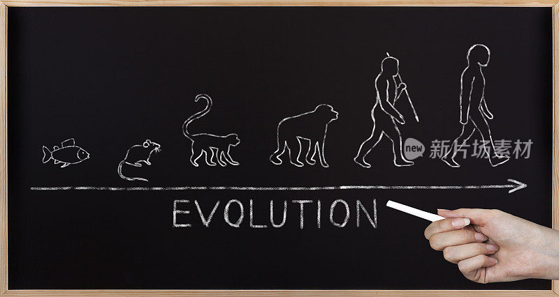 黑板上的进化