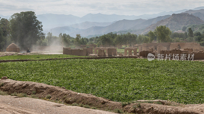 阿富汗巴米扬山谷的景色