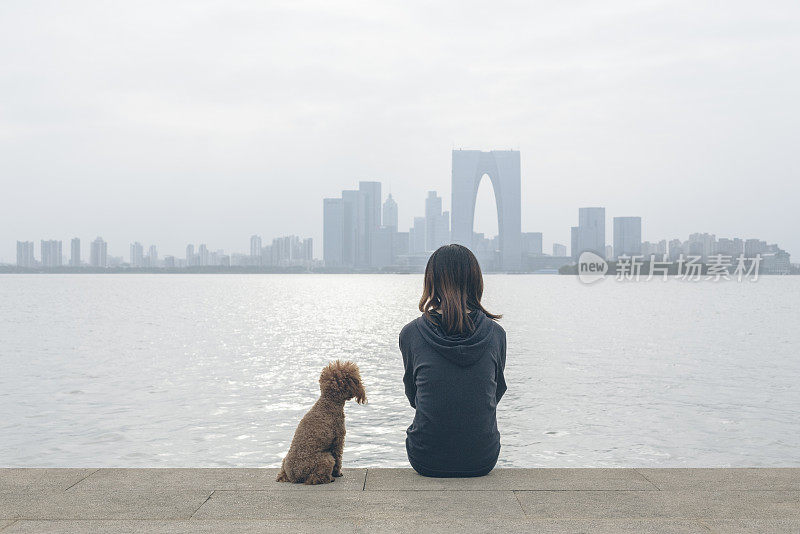 后视图的女人坐在海滨和她的宠物在一边