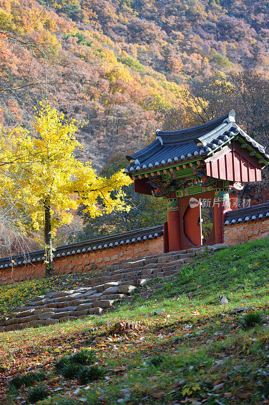 韩国的秋景