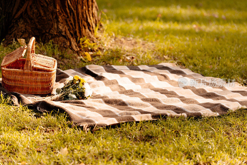 野餐毯和篮子