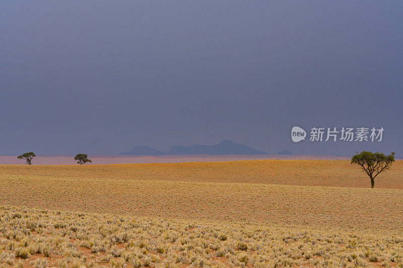纳米比亚沙漠中险恶的天空