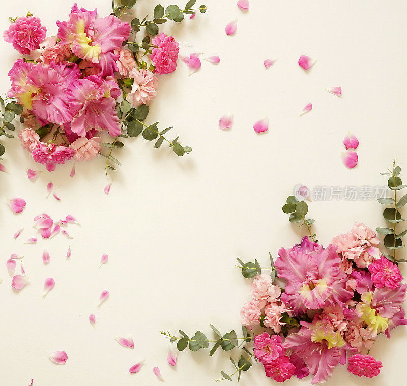 粉红色的花和桉树枝与玫瑰花瓣的框架