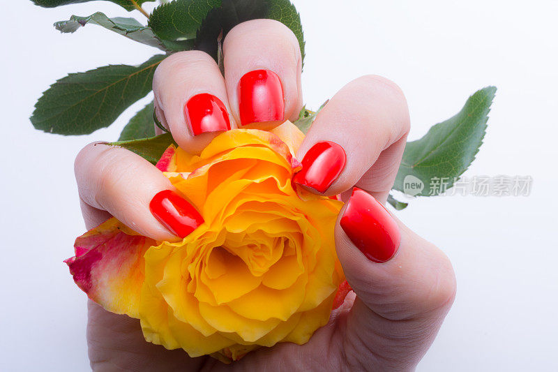 女人拿着一朵红玫瑰，浪漫地攥在手里