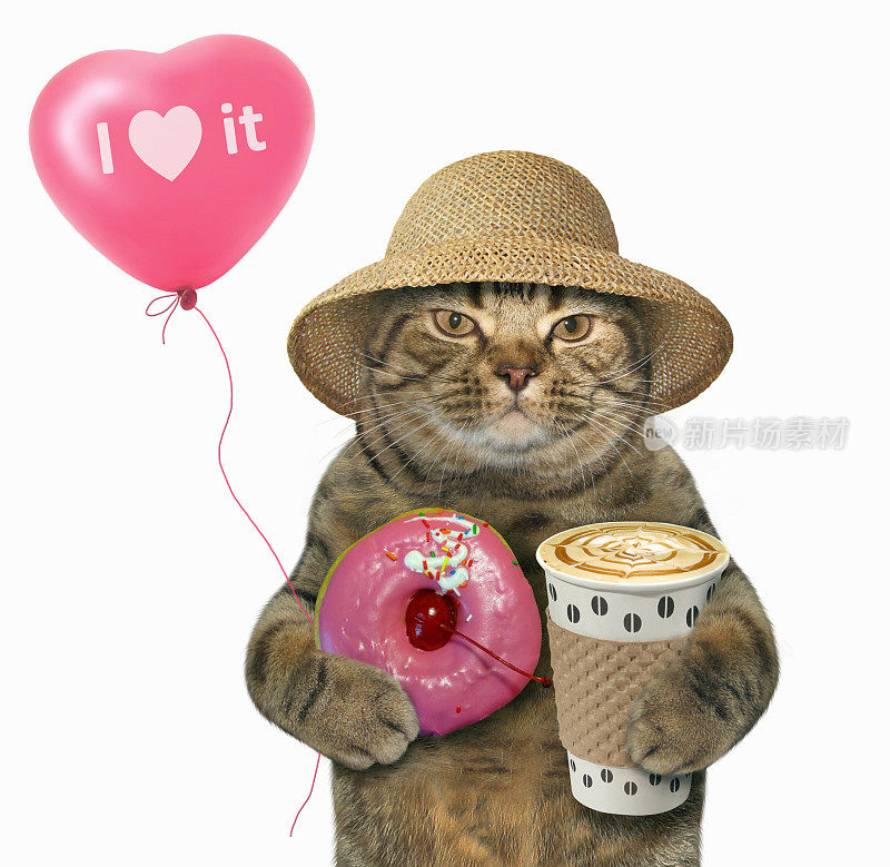 猫和一个粉色的甜甜圈和气球