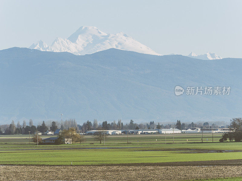 华盛顿贝尔维尤贝克山的乡村景观